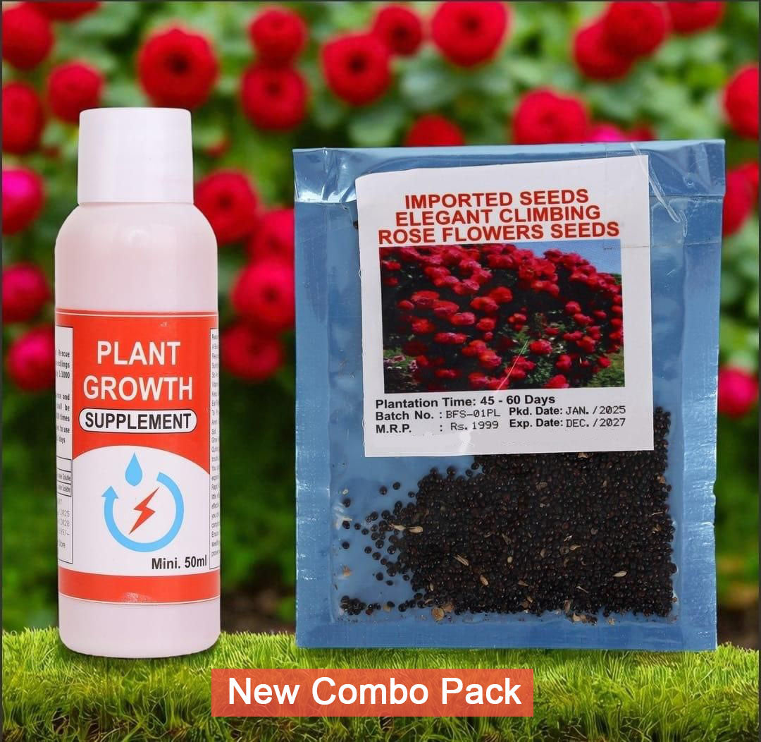 Elegant Climbing Rose Flower Seeds